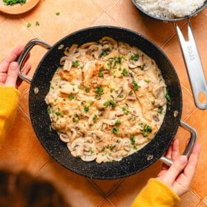 Dojo Hero Neverstick+ 28cm Shallow Casserole with Lid